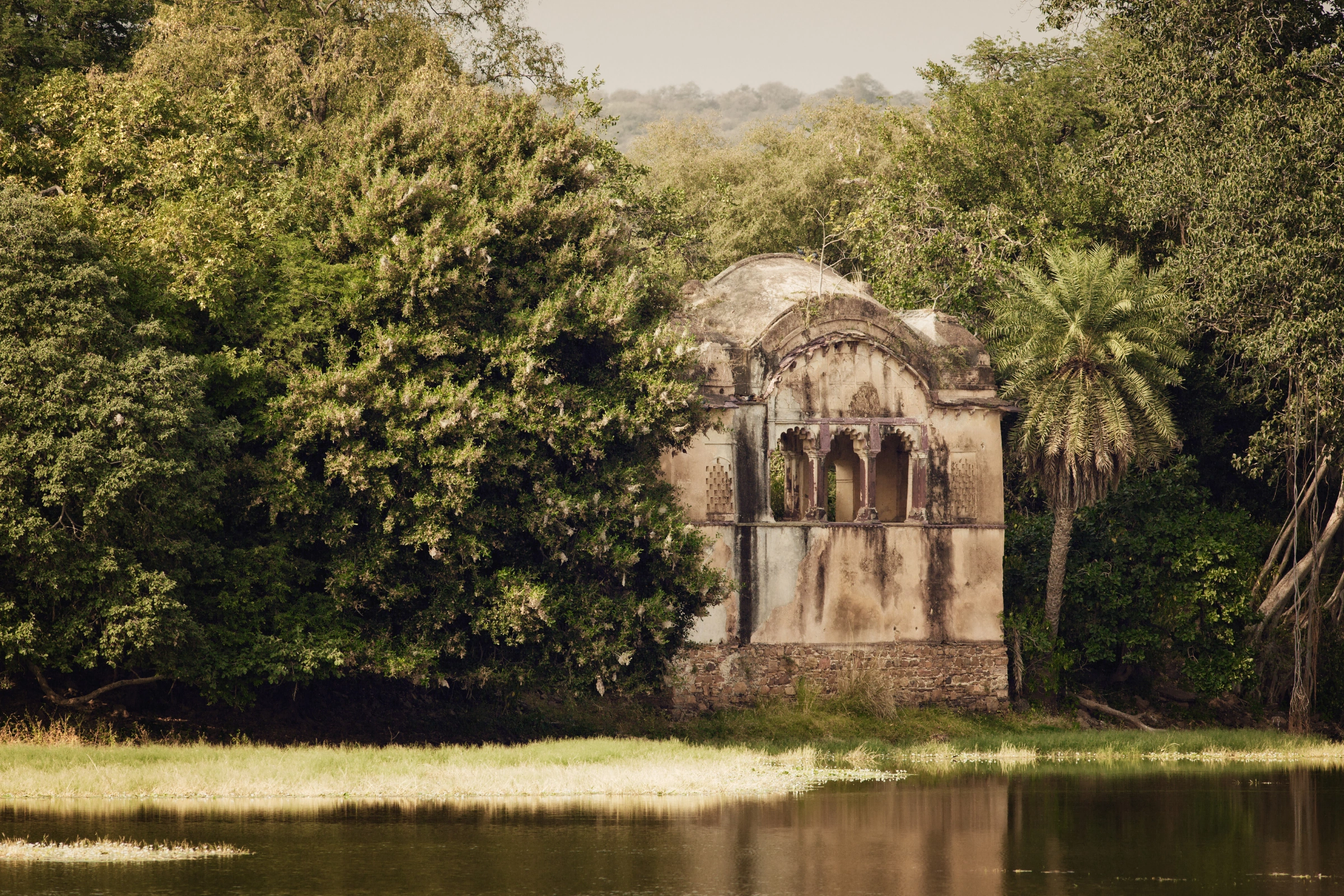 Ranthambore_National_Park[1].webp